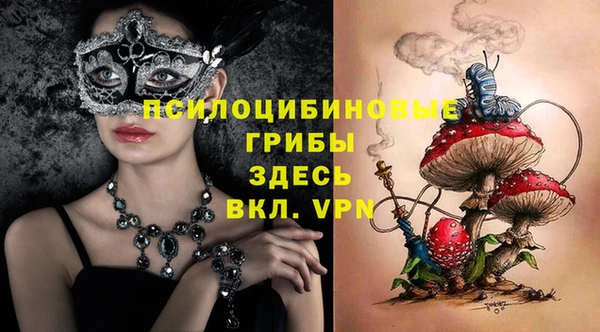 прущая мука Бородино