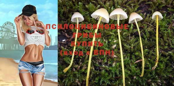 прущая мука Бородино